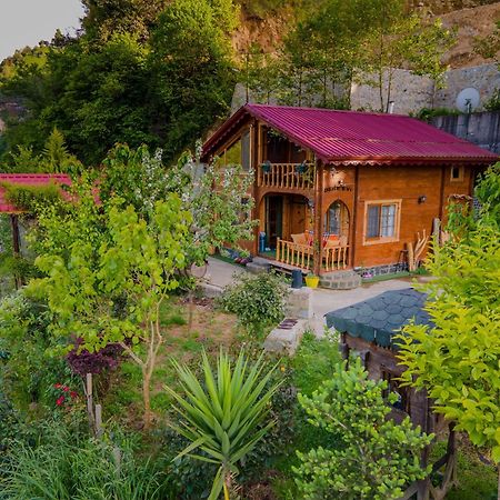 Dere Evi Apartment Rize Bagian luar foto