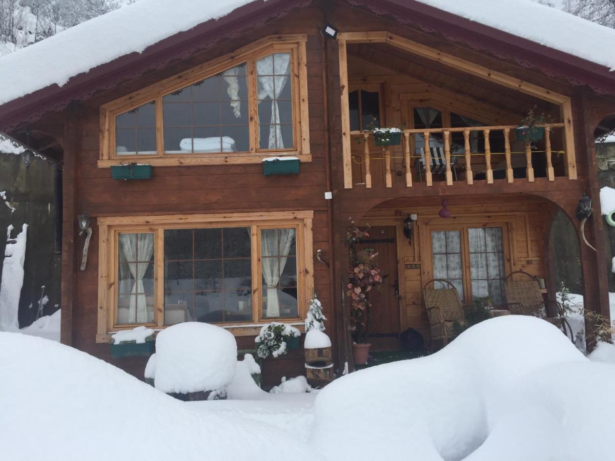 Dere Evi Apartment Rize Bagian luar foto