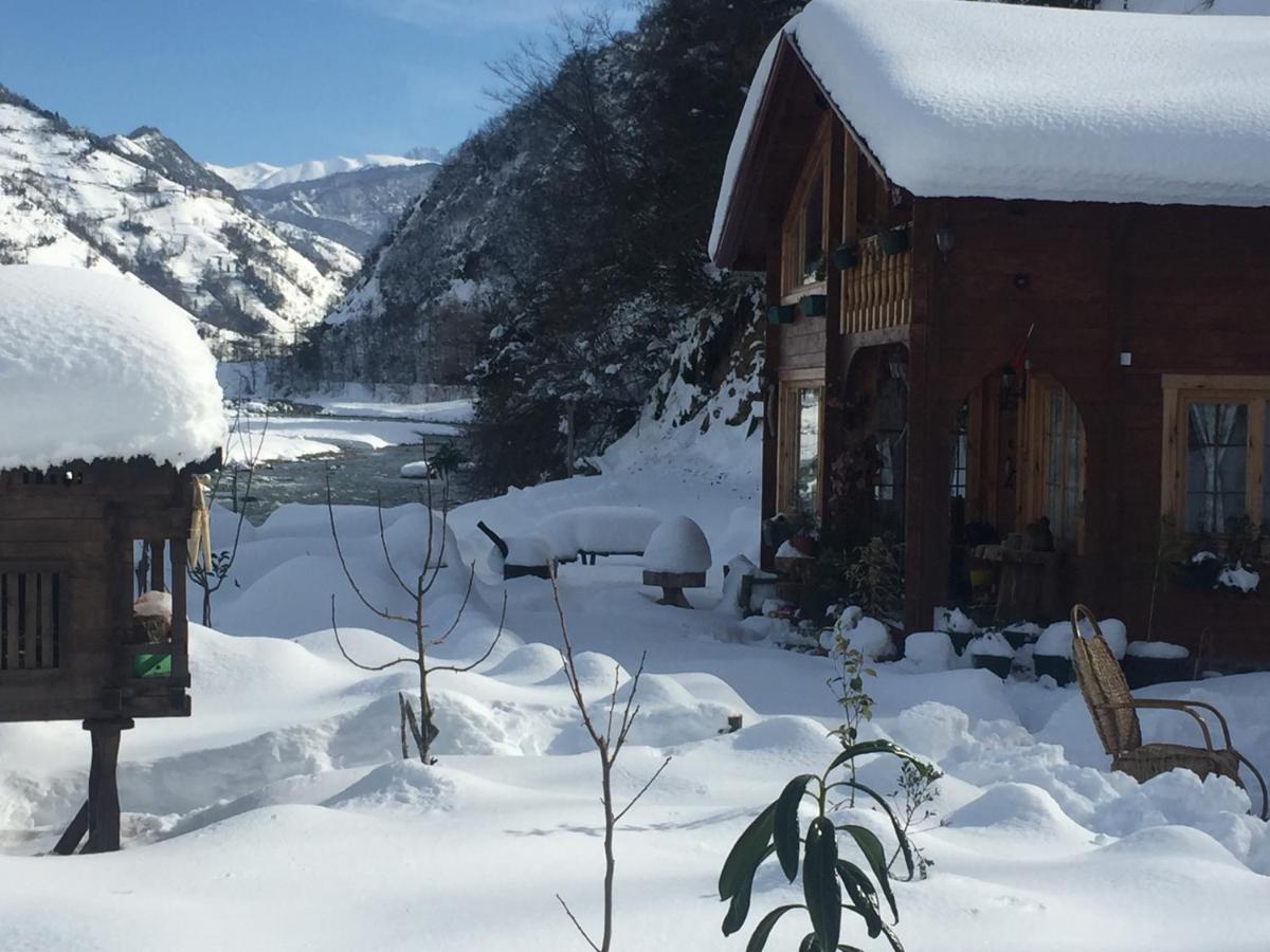 Dere Evi Apartment Rize Bagian luar foto