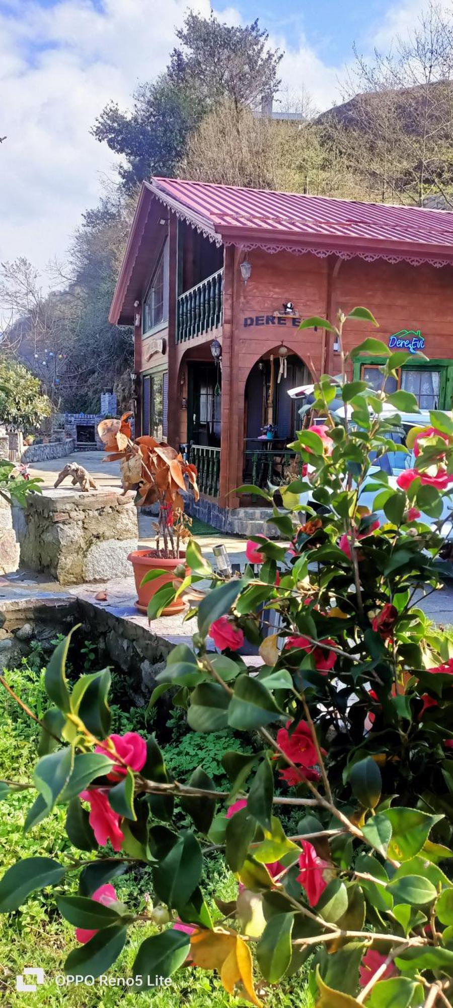 Dere Evi Apartment Rize Bagian luar foto