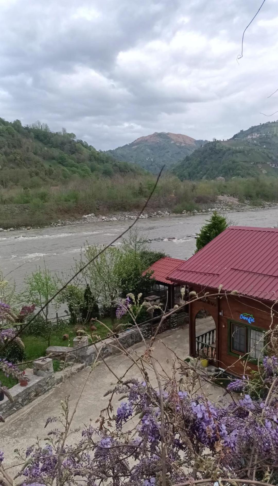 Dere Evi Apartment Rize Bagian luar foto