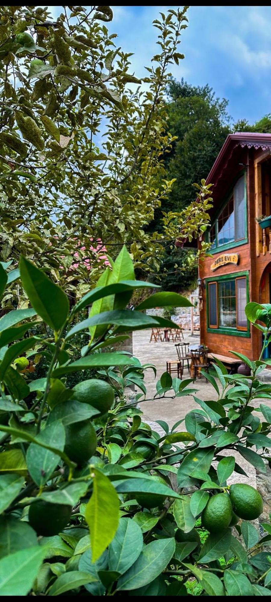 Dere Evi Apartment Rize Bagian luar foto